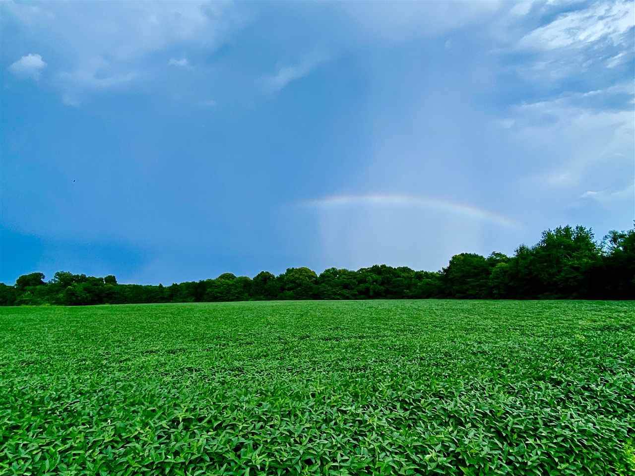 LOT #2 Karcher Rd - Photo 1