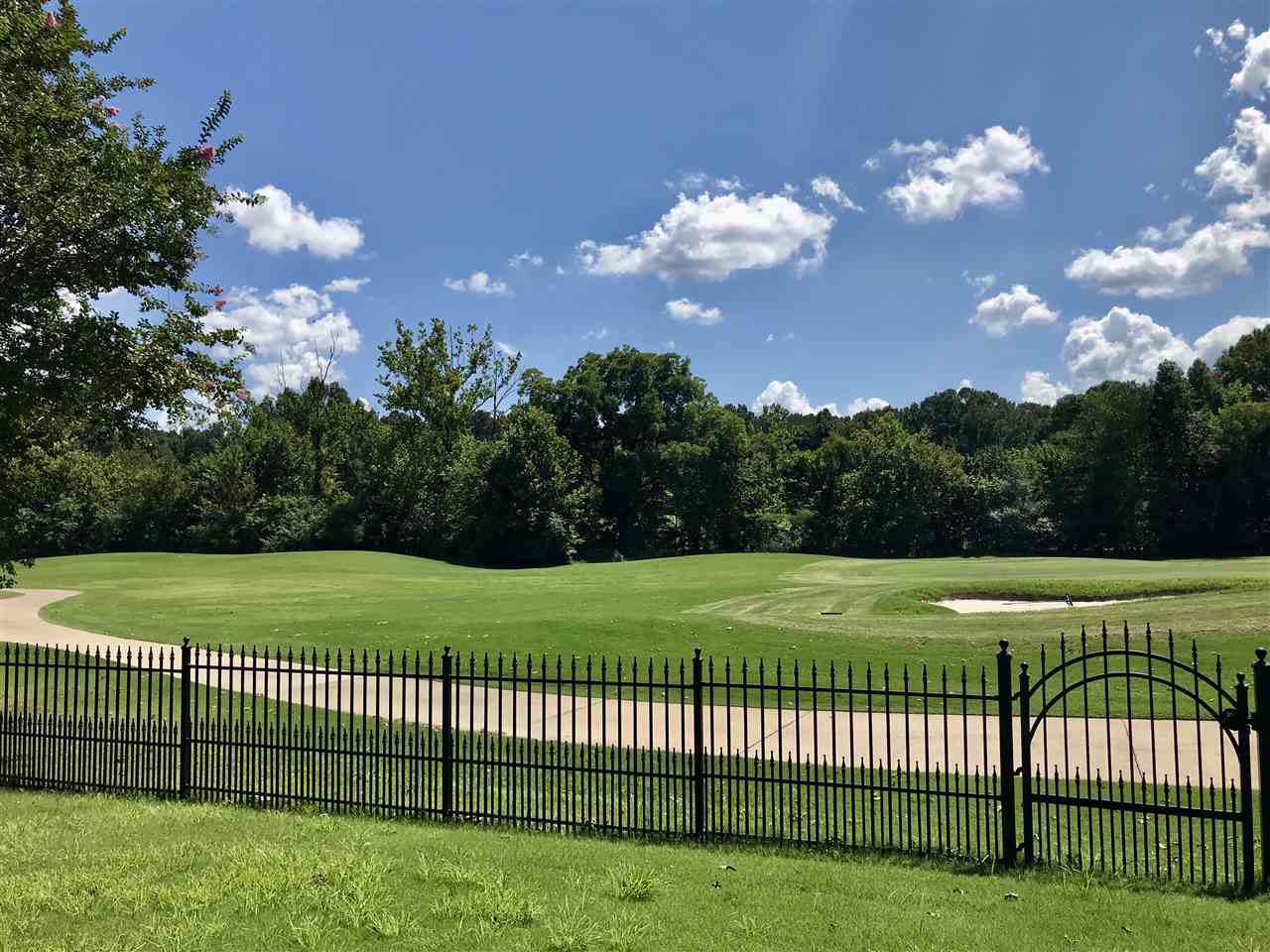 10249 Carnegie Club Dr - Photo 1