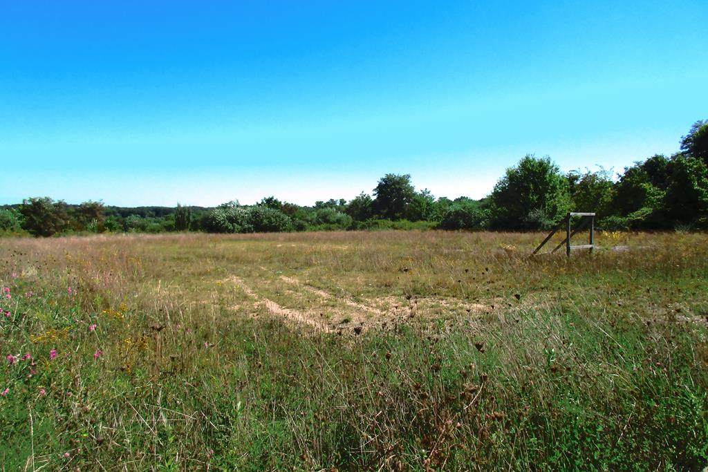 1920 Harper Road - Photo 1