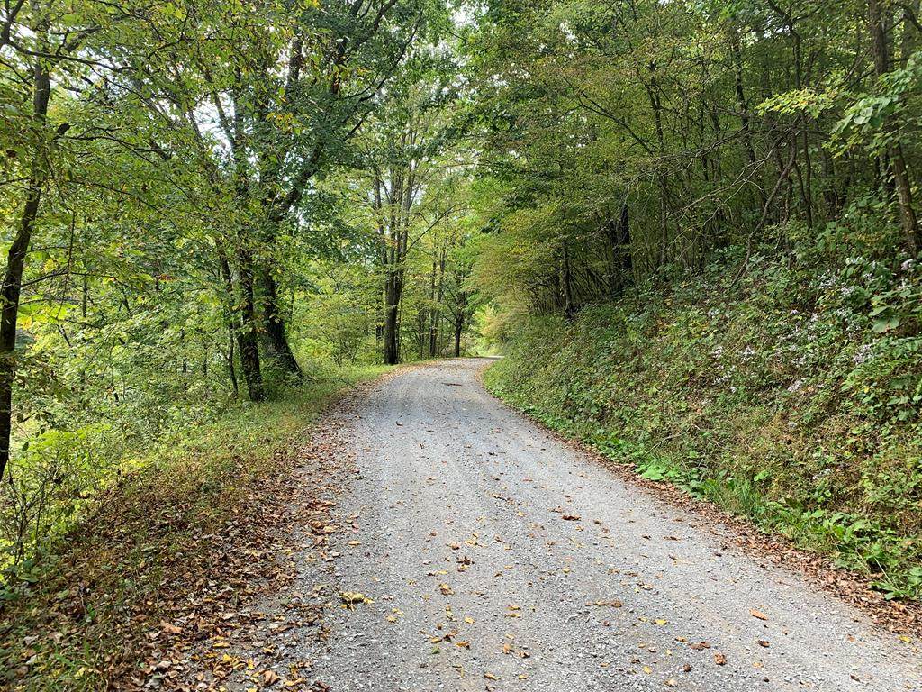 TBD Mudfork Rd - Photo 1