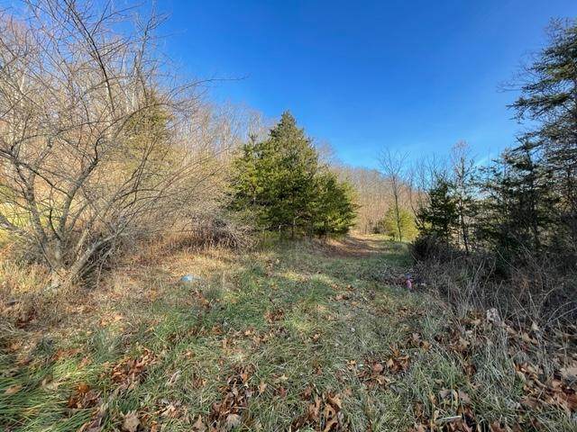 Lot 2 Vass Rd - Photo 1