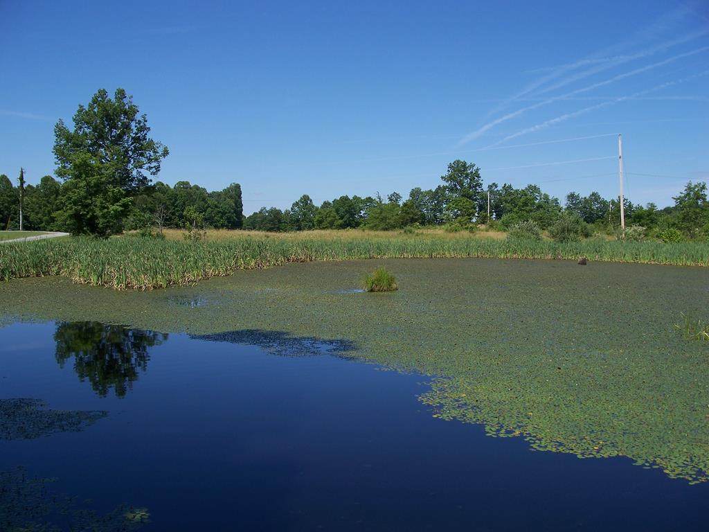 0 Ellison School Rd-Grant Pond Rd. - Photo 1