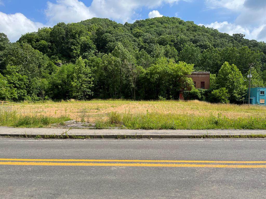 33995 Coal Heritage Hwy - Photo 1