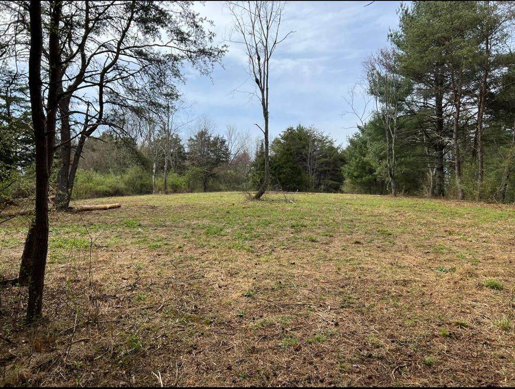Lot 7 Grandview Dr. - Photo 1