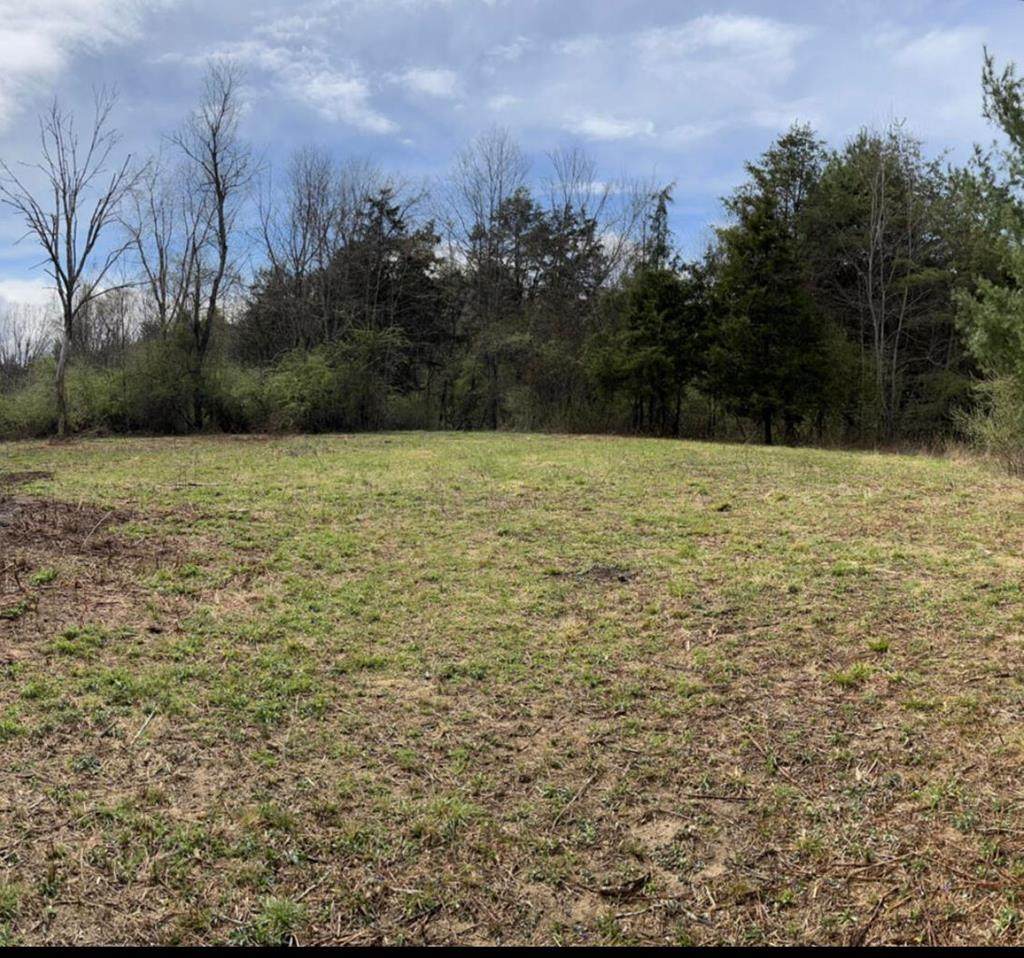 Lot 8 Grandview Dr - Photo 1