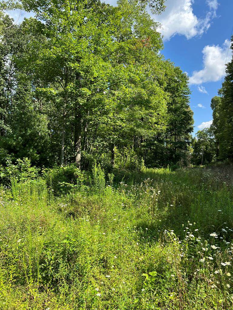 3561 Goodwill Hollow Rd - Photo 1