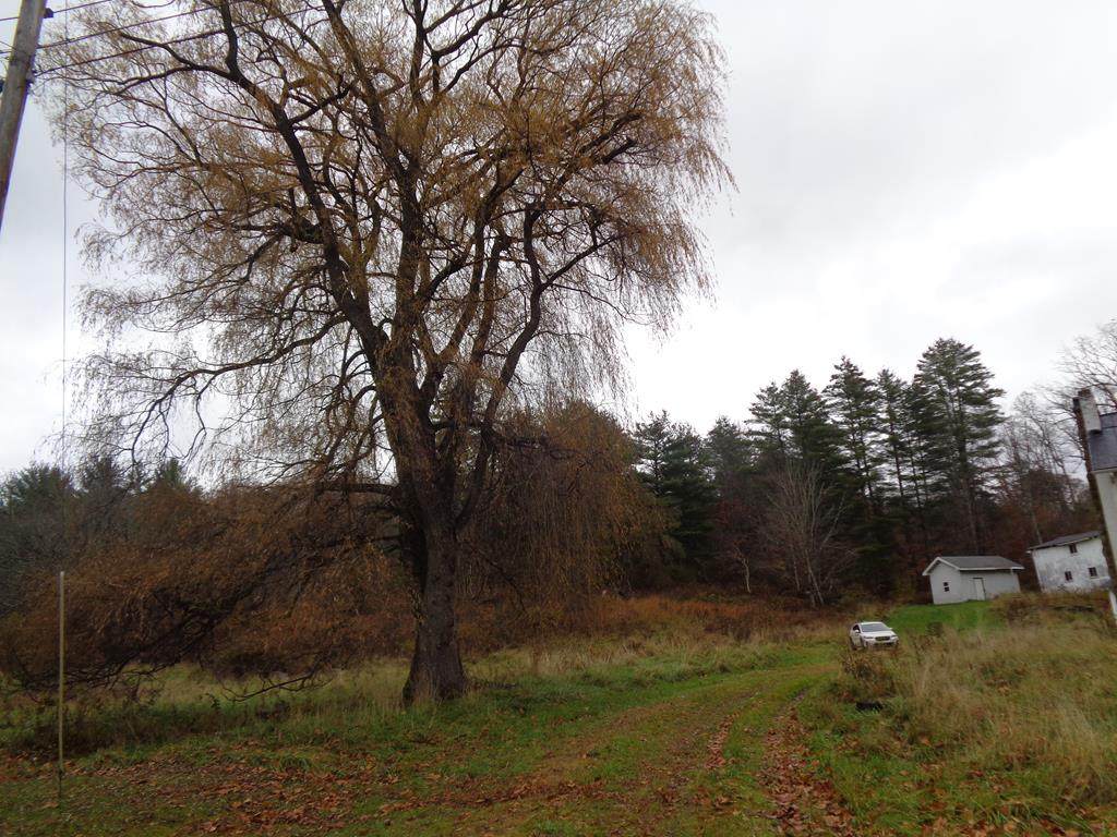 146 Copper St. - Photo 1