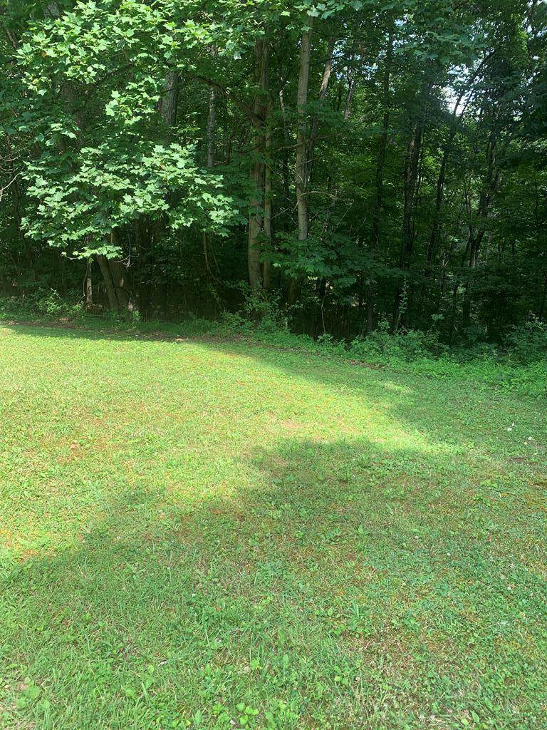 805 Hemlock Lane - Photo 1