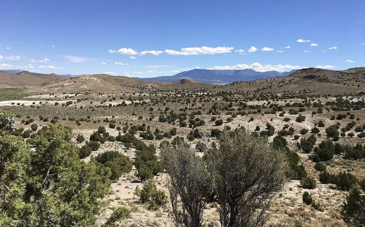 https://bt-photos.global.ssl.fastly.net/mesquite/1280_boomver_1_1127725-2.jpg