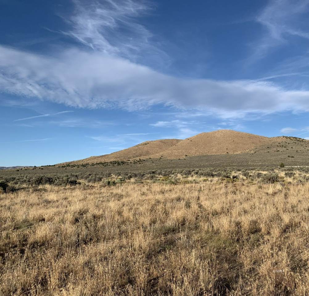 https://bt-photos.global.ssl.fastly.net/mesquite/1280_boomver_1_1128076-2.jpg