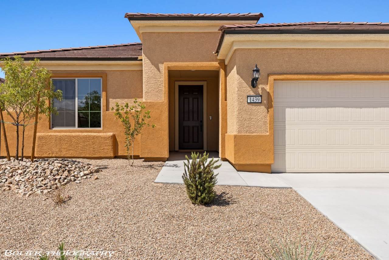 1439 Downy Peak Canyon - Photo 1