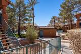 931 Mesquite Springs Dr - Photo 35
