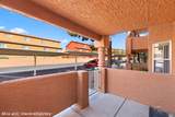 843 Mesquite Springs - Photo 11