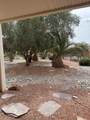 1385 Saddle Horn Ct - Photo 17