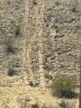 4755 +/- Gold Butte Rd - Photo 64