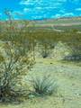 4755 +/- Gold Butte Rd - Photo 67