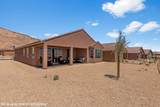 1624 Daisy Ln - Photo 50