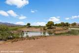 663 Del Lago Dr - Photo 45