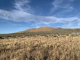 1223 Mineral Flat Road Rd - Photo 1