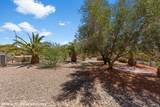 1385 Saddle Horn Ct - Photo 47