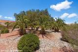 1385 Saddle Horn Ct - Photo 52