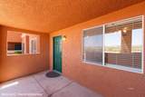 339 Colleen Ct - Photo 35
