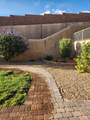 1135 Sun Star Ln - Photo 31
