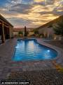 1135 Sun Star Ln - Photo 38