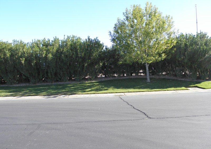 500 Hagens Alley - Photo 1
