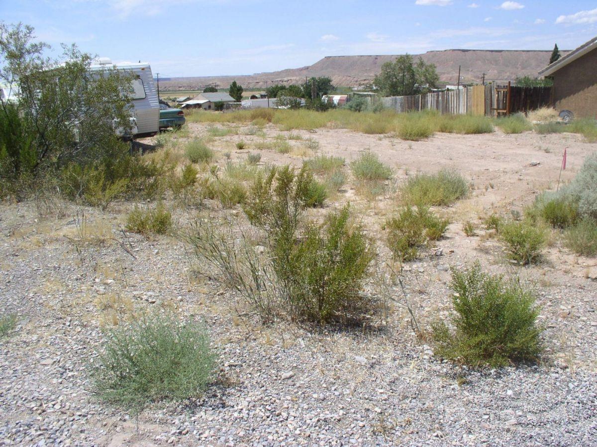 500 S Second Street - Photo 1