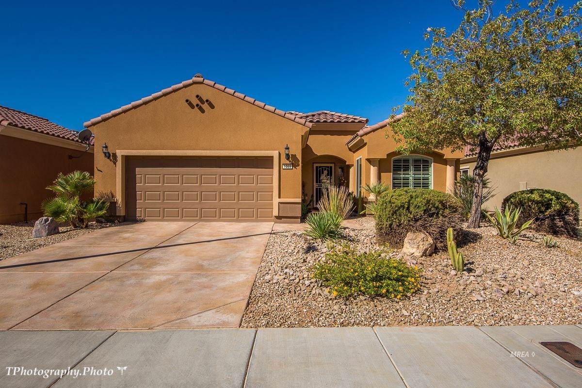 1069 Moonlight Terrace Run - Photo 1