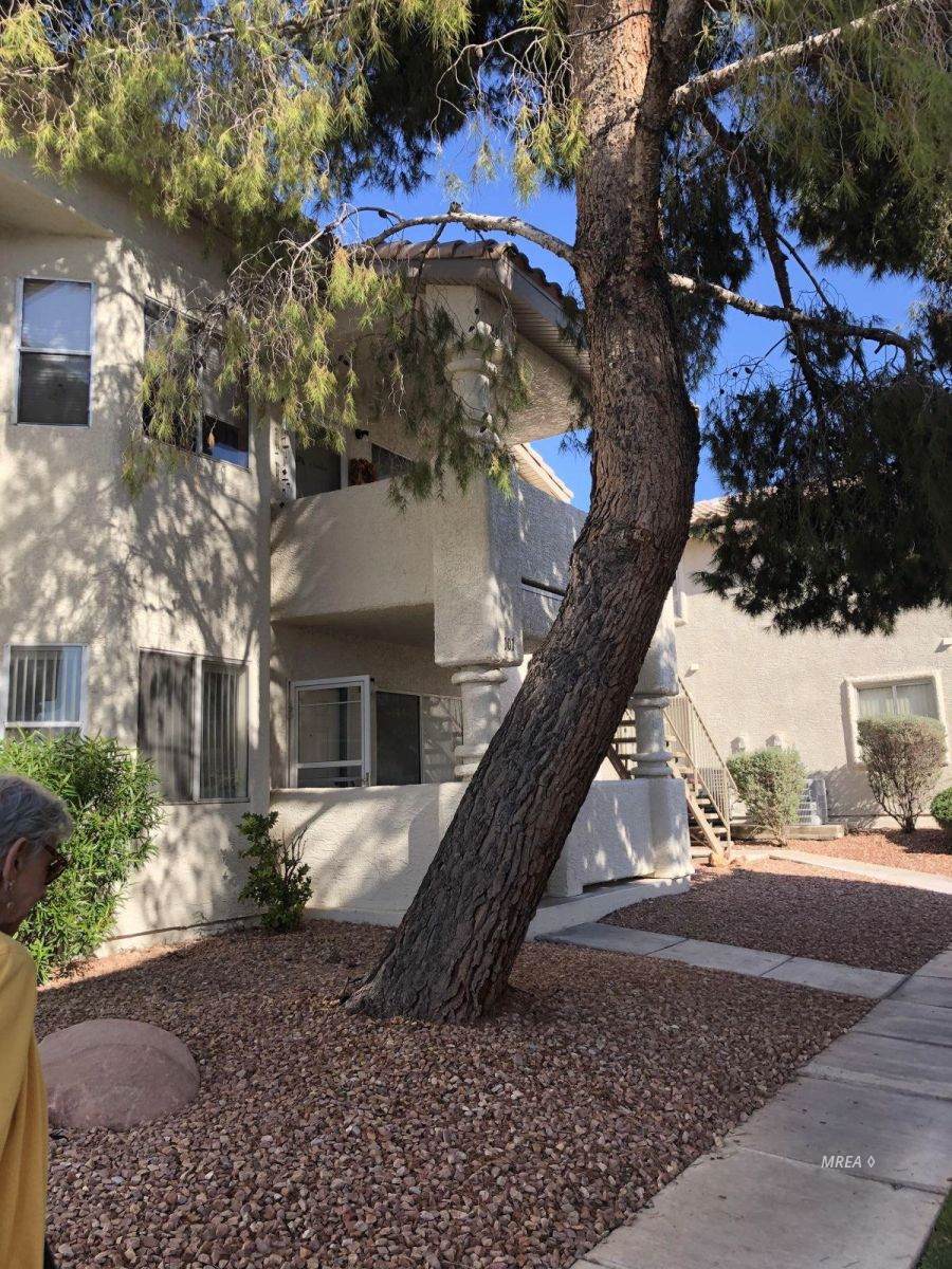 441 Mesa Blvd - Photo 1