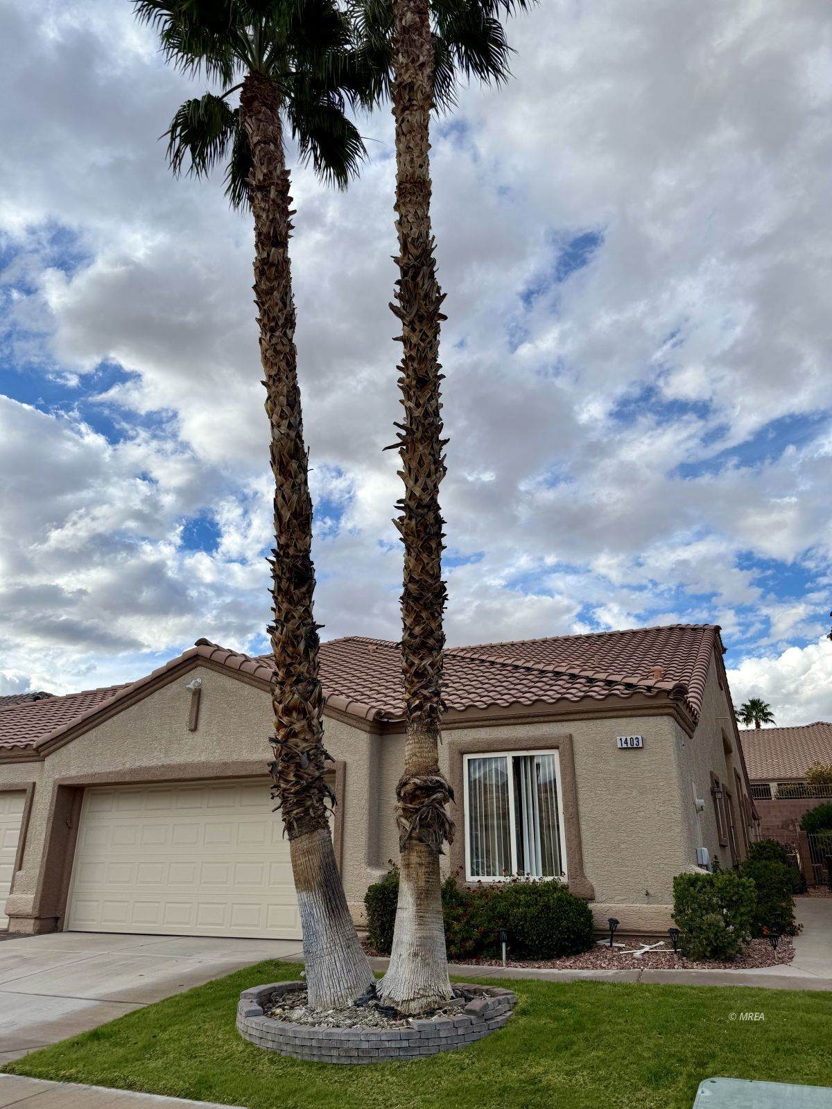 1403 Pinehurst Dr - Photo 1