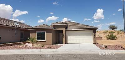443 Palm Cove Ct - Photo 1