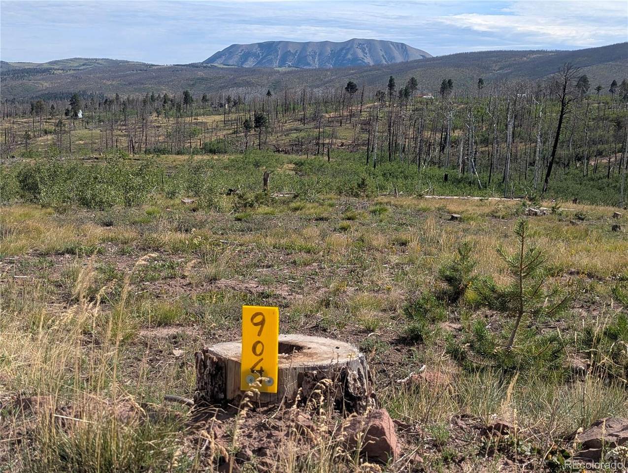 904/910 Ueda Place - Photo 1