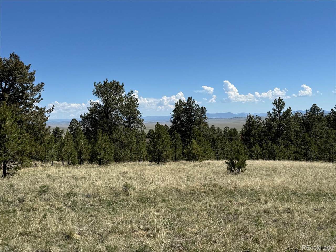9430 Ranch Road - Photo 1