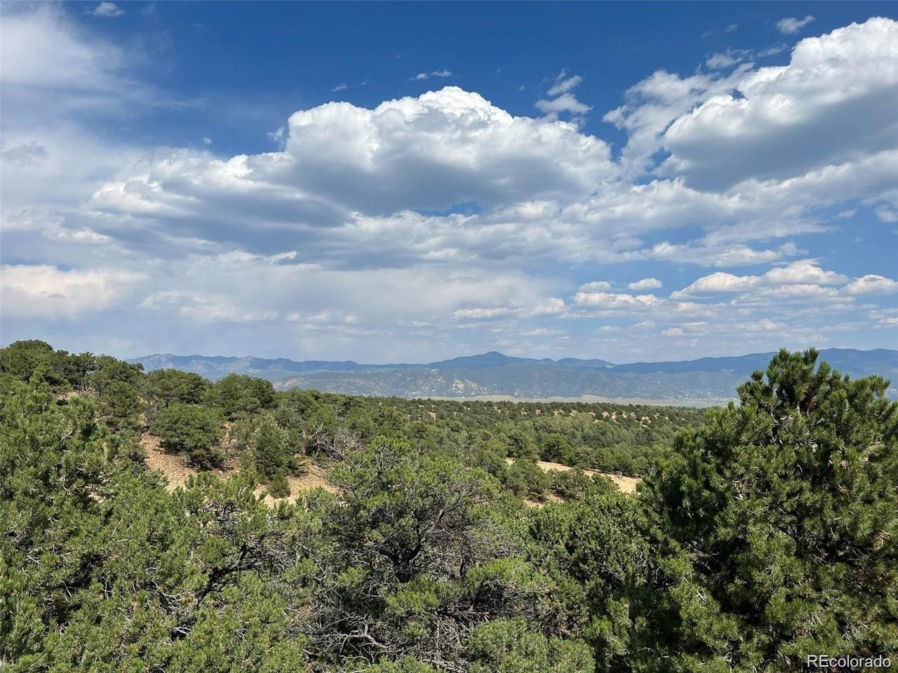 12240 Saddle Ridge Lane - Photo 1
