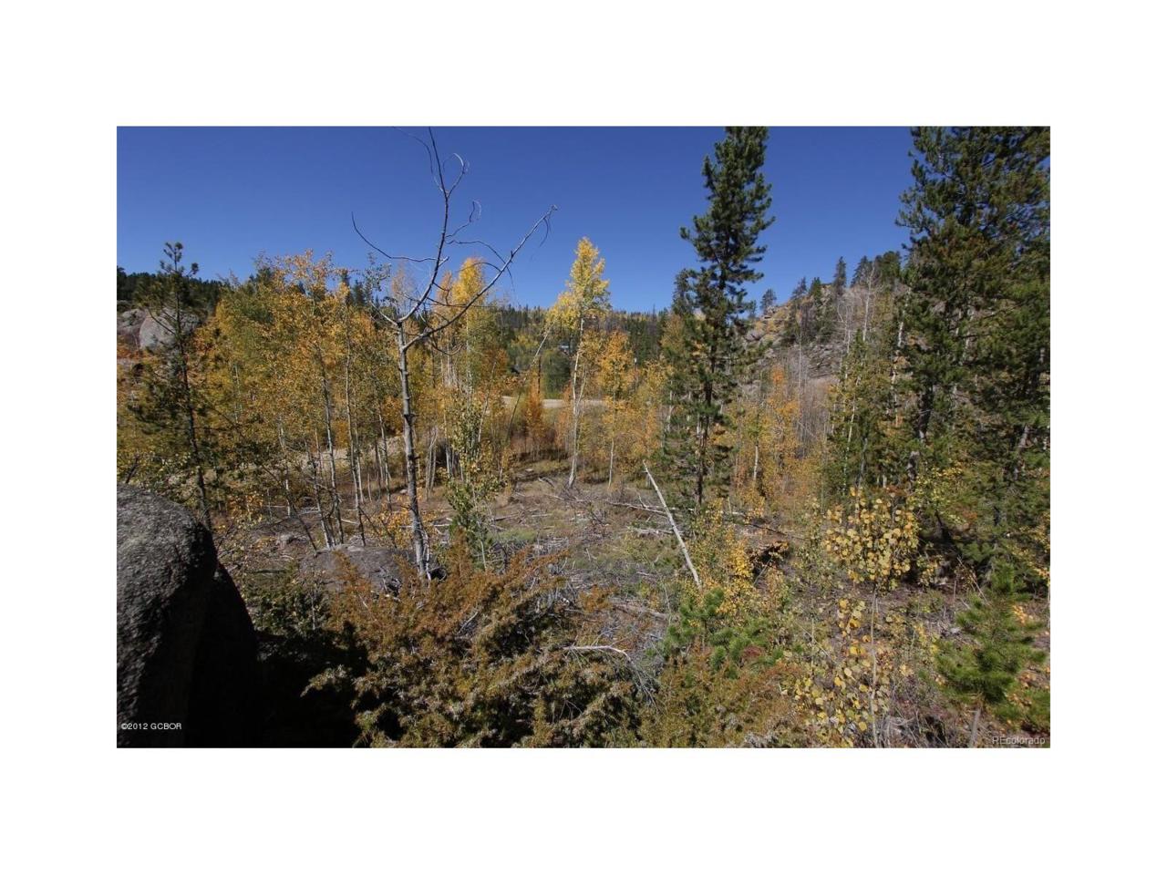 209 County Road 853 - Photo 1