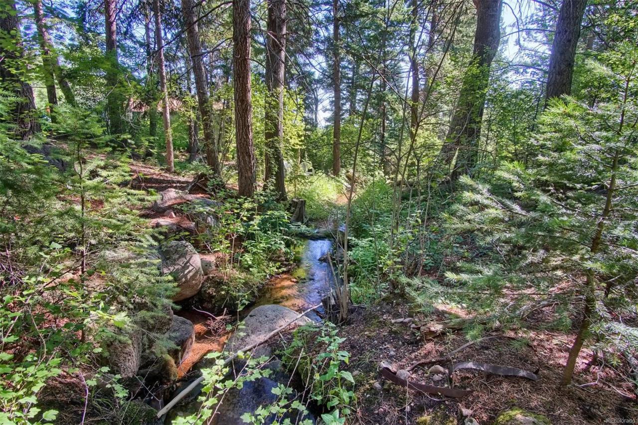 4320 Green Mountain Drive - Photo 1