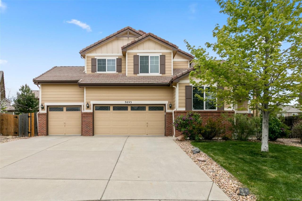 3893 Tibet Way - Photo 1