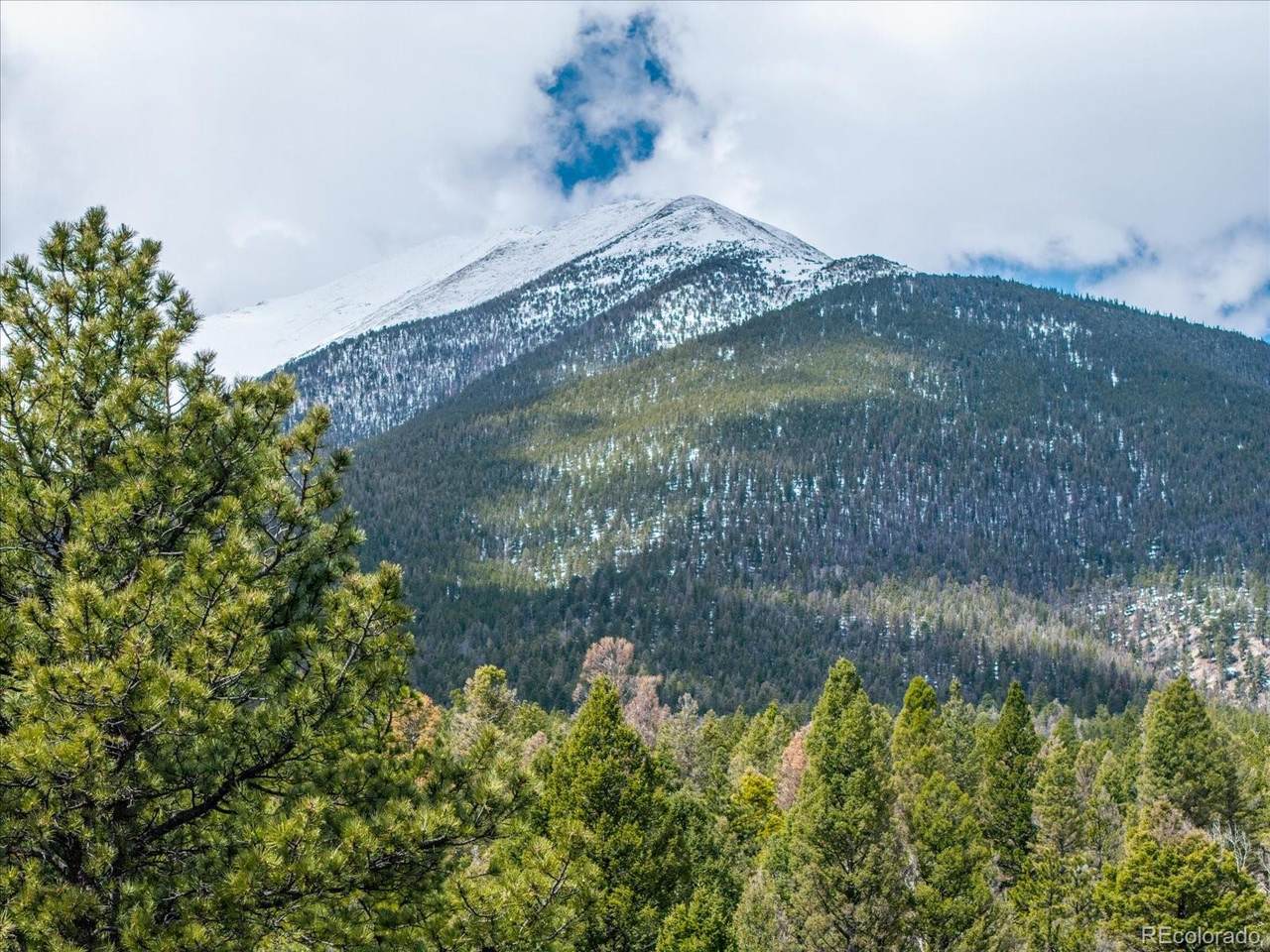 24900 County Road 339 - Photo 1