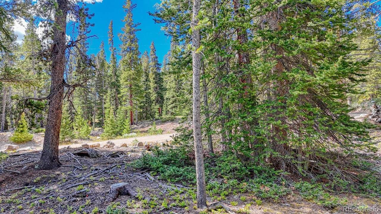 126 Gold Trail Cutoff - Photo 1