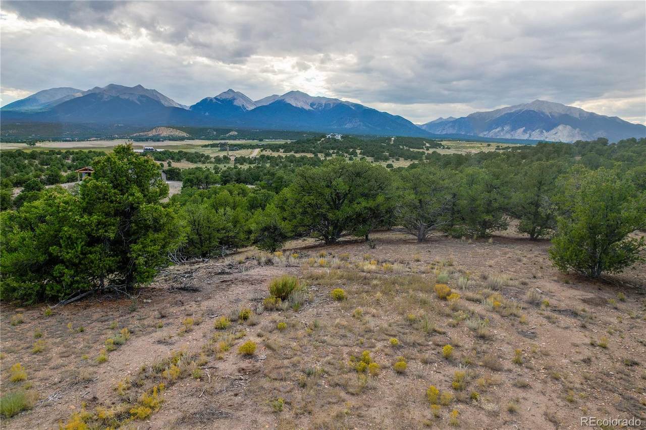 10286 Pioneer Trc - Photo 1