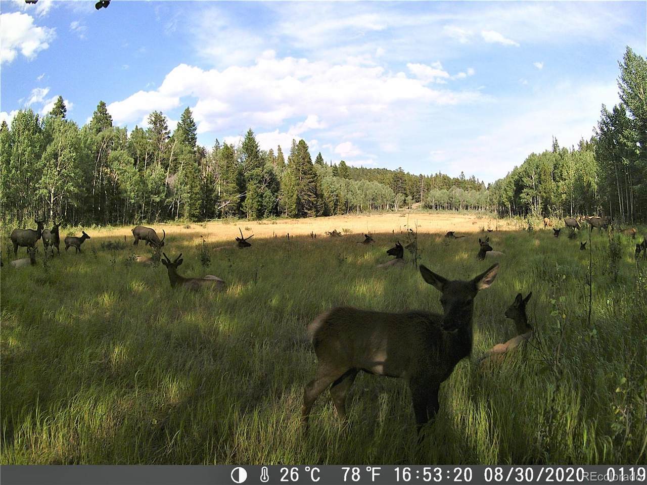 48733 Hwy 72 - Photo 1