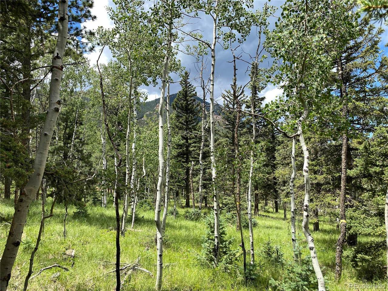 179 Summit Road - Photo 1
