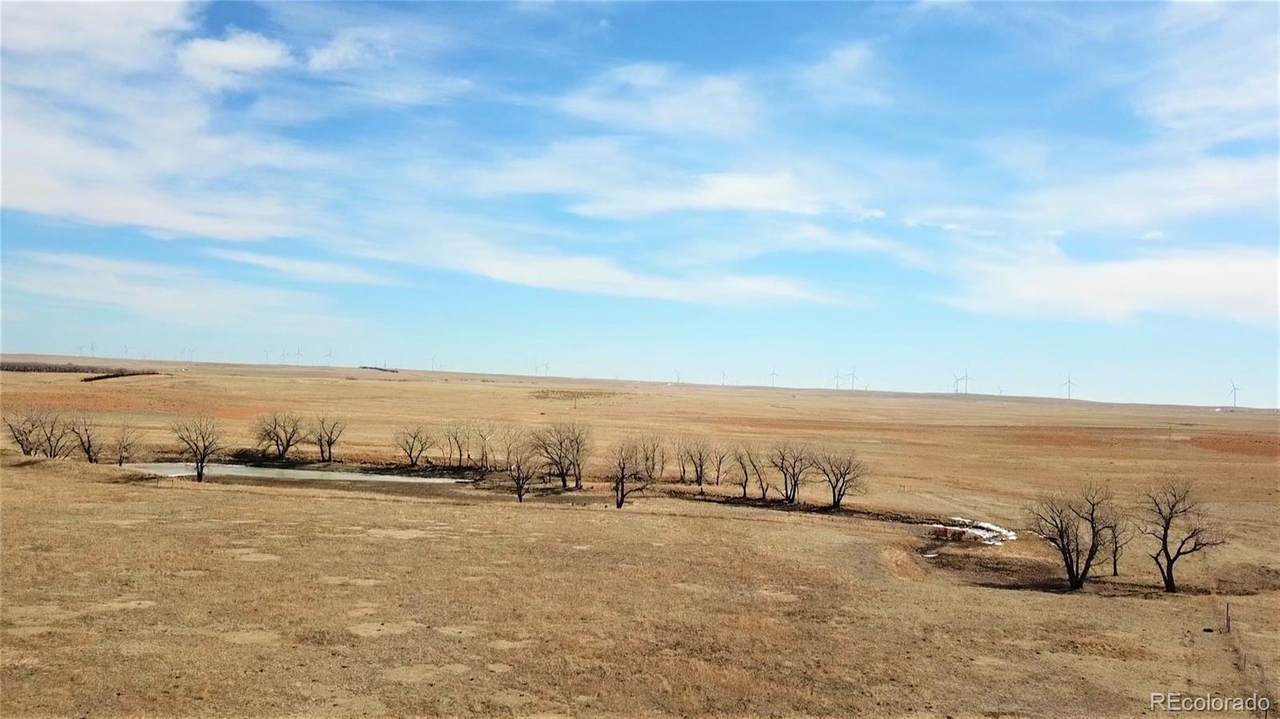 59 +/- Acres - Grassland - Photo 1 59 +/- Acres - Grassland - Photo 1