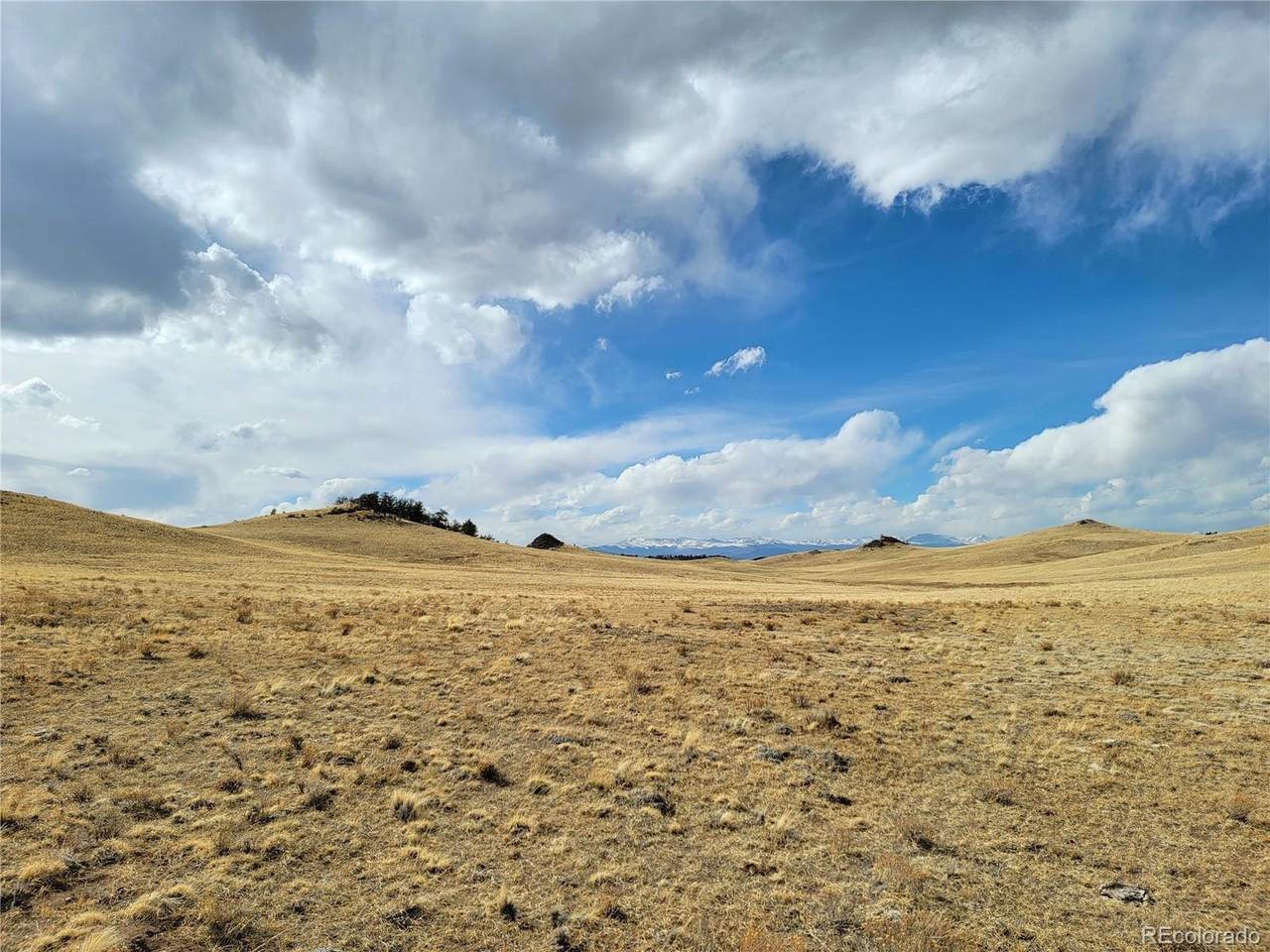 3999 Delaware - Photo 1