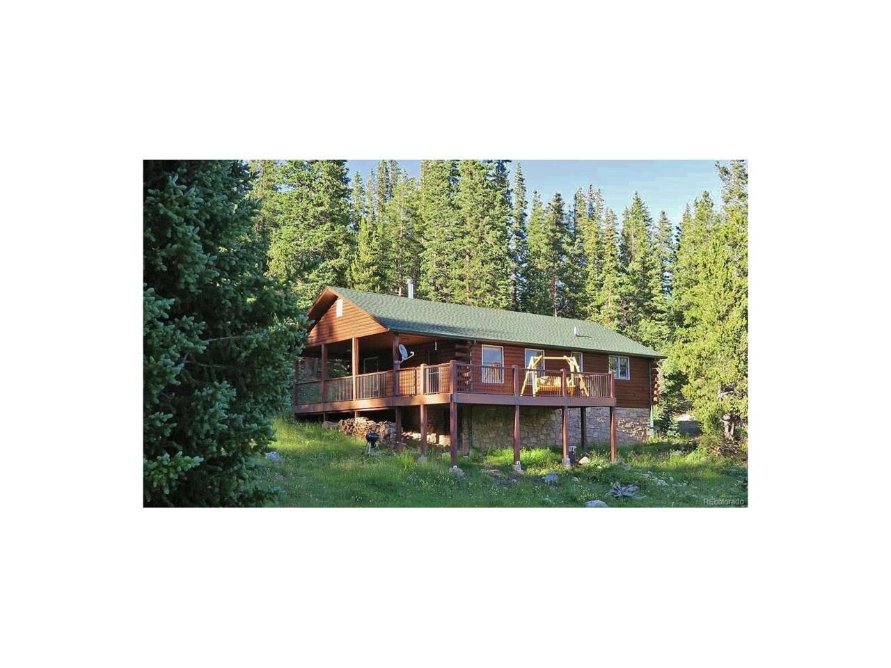 1360 Zebulon Street, Fairplay, CO 80440 (MLS #1844494) :: 8z Real Estate