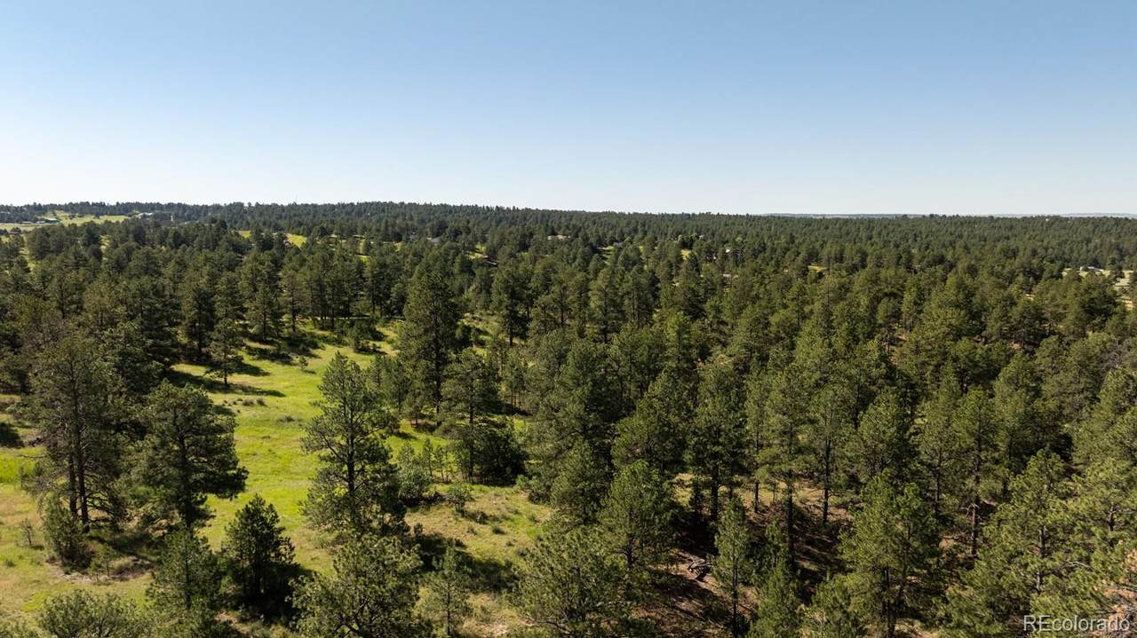 10348 Pine Song Place - Photo 1