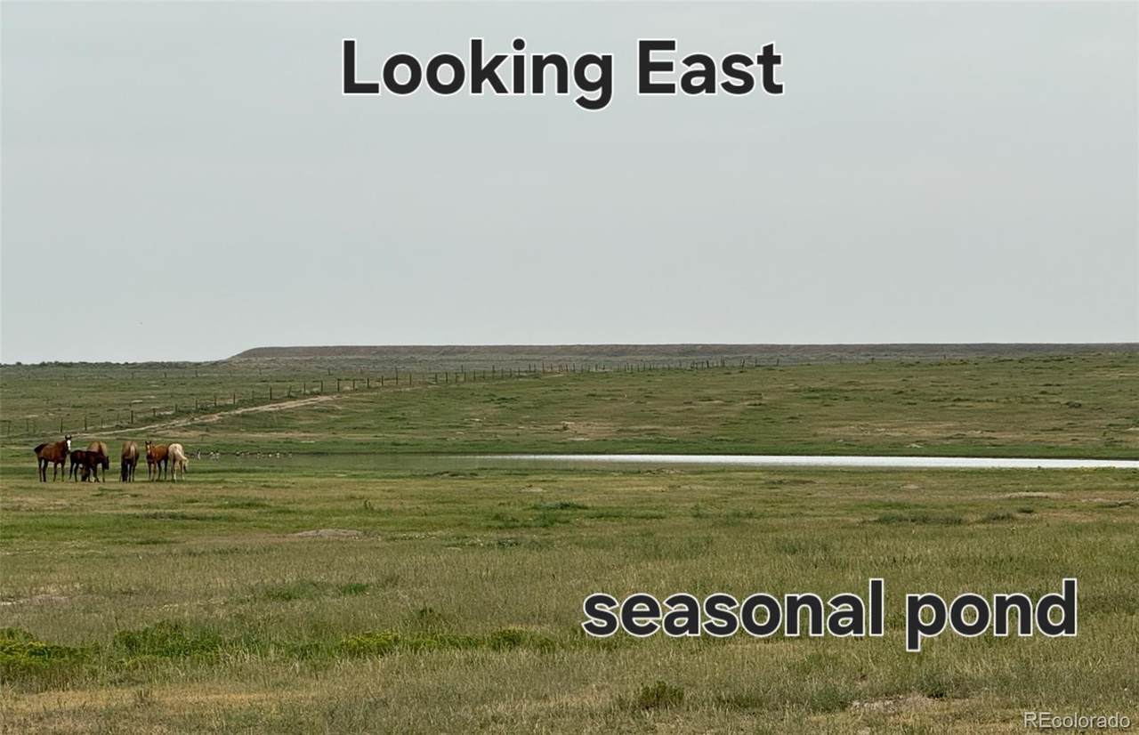  County Rd 96 Lot 2 - Photo 1